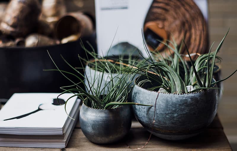 Tax Planning & Compliance